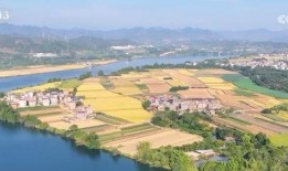 澳门最新二肖爆料,揭秘热门生肖组合趋势